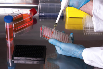 researcher working with cell cultures under sterile cabinet / technician working in the laboratory...