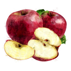 Red Apple on white background. Watercolor illustration