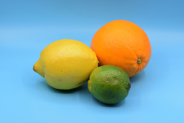 Citrus fruits on seamless blue background