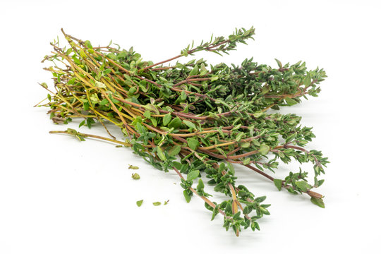 A Bunch of Thyme
