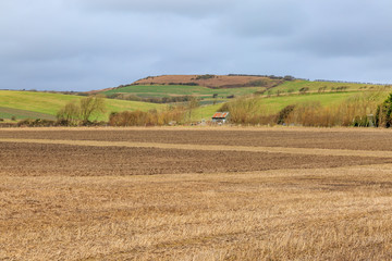 Fototapeta na wymiar Rural Landscape