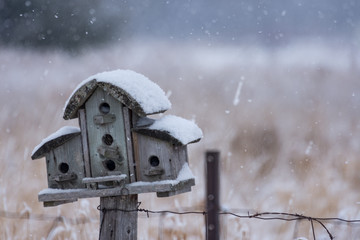 weathered winter wooden bird house
