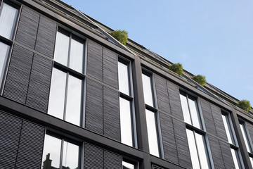 Modern Building with Plants and Clear Blue Sky Backdrop