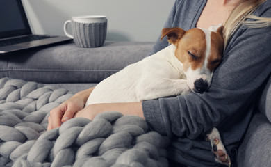 Cozy home, woman covered with warm blanket watching movie, hugging sleeping dog. Relax, carefree,...