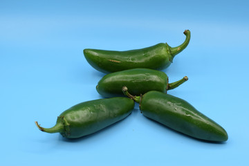 Fresh green jalapeno peppers arranged on a blue background. 