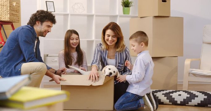 Nice Caucasian family sitting around the carton box and playing with a puppy in the box among many unpacked stuff during moving in the new home. Inside