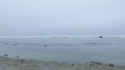 lonely winter distance