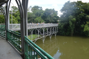 &Oacute;pera de Arame