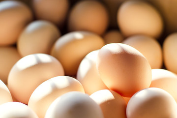 Many fresh eggs in bright rays of light. Background. The concept of natural food, farming, poultry