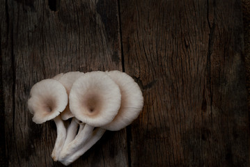 Oyster mushrooms on wooden table, top view.