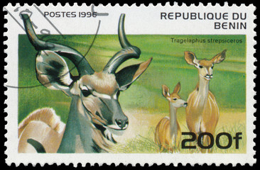 Stamp Printed in the Benin shows woodland antelope