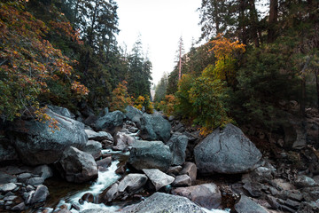 Fall colors over a river in Yosemite National Park California
