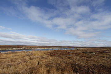 Flat arctic landscape in the summer with blue skies and soft clouds