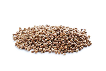 Coriander seeds isolated on a white background