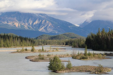 Islands In The Athabasca River, Jasper National Park, Alberta