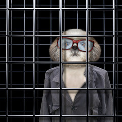 Dirty dog is punishe in cage
