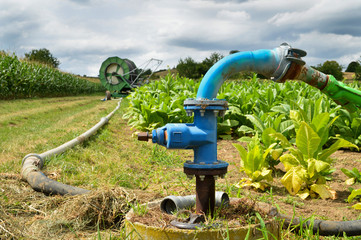 Agricultural irrigation system with a well of water, for the cultivation of corn and beet during the summer.
