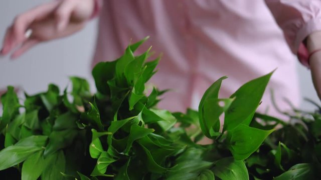 Closeup florist touches greens to decorate a bouquet
