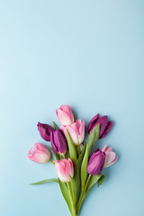 Pink and purple tulip flowers bouquet on blue background. Flat lay, top view.