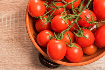 pomodori freschi ovali per salsa