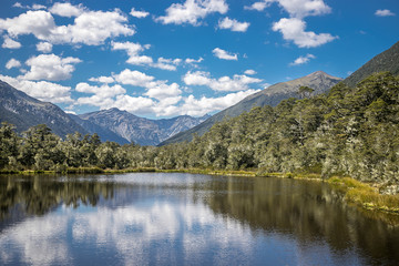 Fototapeta na wymiar alpine landscape, forest, lake with reflection, lewis pass, new zealand