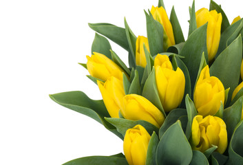 Bouquet of yellow tulips, copy space. Spring fresh flowers, mockup for mothers day, valentine or wedding greeting card