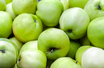 a lot of green apples on the whole frame