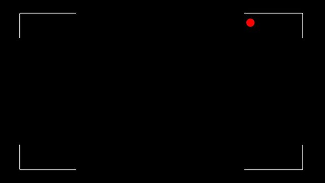 Video Camera Viewfinder (digital overlay display) - 4K 3