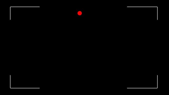 Video Camera Viewfinder (digital overlay display) - 4K 2