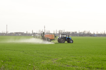 Tractor with high wheels is making fertilizer on young wheat. The use of finely dispersed spray chemicals. Tractor with a spray device for finely dispersed fertilizer.