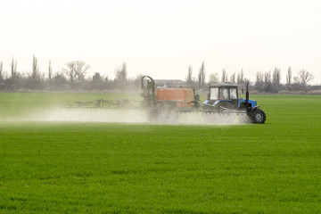 Fototapeta premium Tractor with high wheels is making fertilizer on young wheat. The use of finely dispersed spray chemicals. Tractor with a spray device for finely dispersed fertilizer.