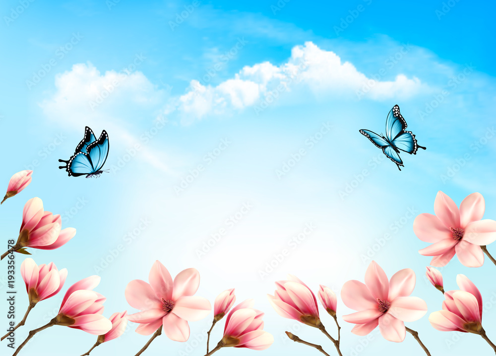 Poster nature spring background with beautiful magnolia branches on blue sky. vector.
