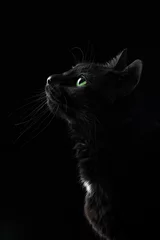 Rolgordijnen Black cat © Aeron
