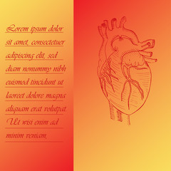 Two Section Poster about Human Heart
