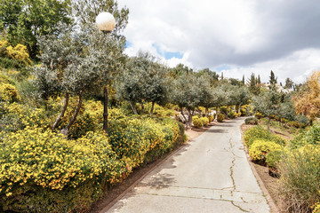 Jerusalem Haas-Sherover Promenade in the Spring