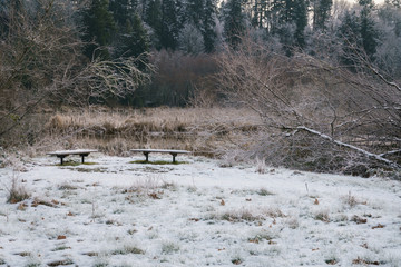 Frozen Benches By The River