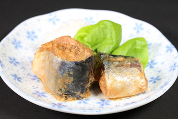 サバの缶詰