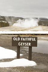 Fototapeta premium Old Faithful Geyser with sign, Yellowstone National Park, Wyoming