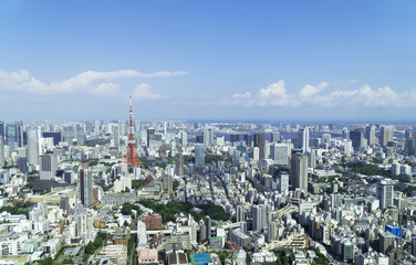 東京風景　青空と緑