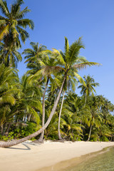 Fototapeta na wymiar Tropical beach and sea with coconut palm tree on blue sky in Thailand