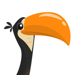 Funny toucan cartoon. Vector bird illustration © drawkman