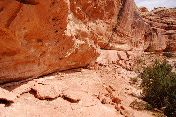Ancient Anizazi ruins perched on canyon wall in southern Utah Canyon country.