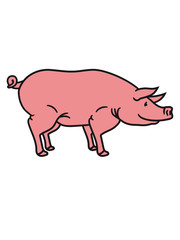 schwein seitlich süß niedlich comic cartoon lachen clipart