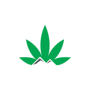 Canadian Mountain Logo Element