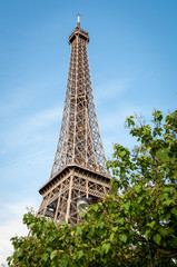 Eiffel tower above the trees