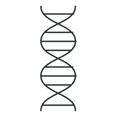 dna molecule isolated icon vector illustration design