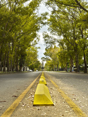 El Bosque. La Plata, Argentina.