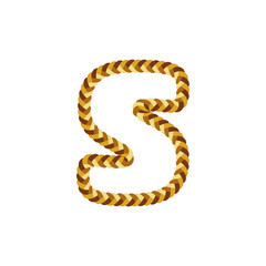 S Braid Letter Logo Icon Design