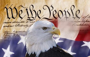 We the People.