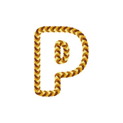 P Braid Letter Logo Icon Design